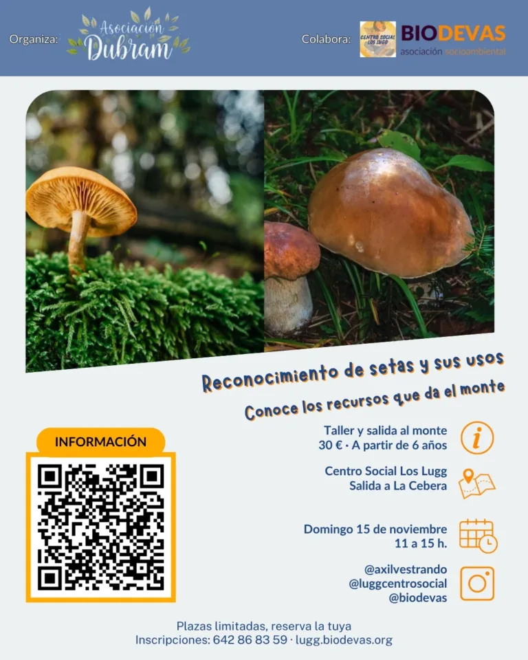Taller de reconocimiento de seta